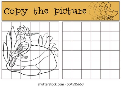 Educational game: Copy the picture. Cute beautifyl hoopoe sits on the stone and smiles.