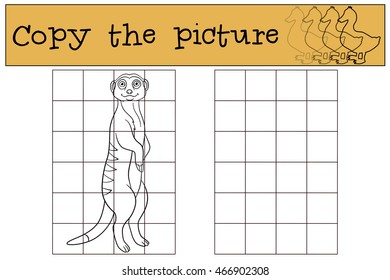 Educational game: Copy the picture. Little cute meerkat stands and smiles.