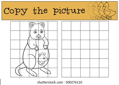 Educational game: Copy the picture. Mother quokka with her little cute baby in the pocket.