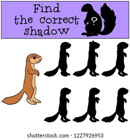 Educational game: Find the correct shadow. Little cute baby xerus smiles.