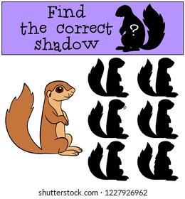 Educational game: Find the correct shadow. Little cute baby xerus smiles.