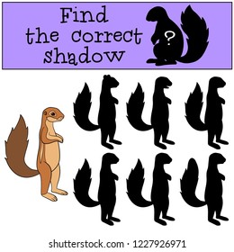 Educational game: Find the correct shadow. Little cute xerus smiles.