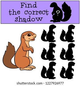 Educational game: Find the correct shadow. Little cute baby xerus smiles.