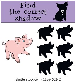 Juego educativo: Encuentre la sombra correcta. Pequeño y lindo lechón.