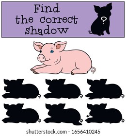 Educational game: Find the correct shadow. Little cute piglet lays.