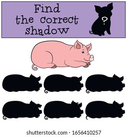 Educational game: Find the correct shadow. Cute pig lays.