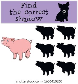 Juego educativo: Encuentre la sombra correcta. Estaciones de cerdo.