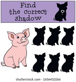 Juego educativo: Encuentre la sombra correcta. Pequeño y lindo lechón se sienta.