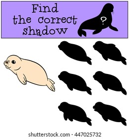 Educational game: Find the correct shadow. Little cute white-coated baby fur seal.