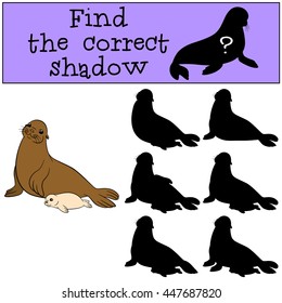 Educational game: Find the correct shadow. Mother fur seal with her little cute baby.