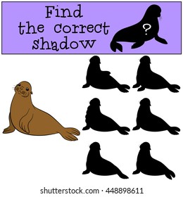 Educational game: Find the correct shadow. Little cute fur seal smiles.