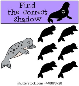 Educational game: Find the correct shadow. Little cute baby fur seal.