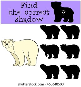 Educational game: Find the correct shadow. Cute polar bear stands and smiles.