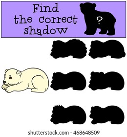 Educational game: Find the correct shadow. Little cute baby polar bear smiles.