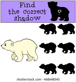 Educational game: Find the correct shadow. Little cute baby polar bear walks and smiles.