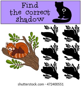 Educational game: Find the correct shadow. Little cute red panda sits on the tree branch and smiles.