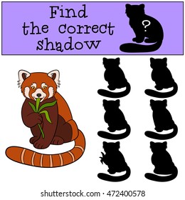 Educational game: Find the correct shadow. Little cute red panda eats leaves and smiles.