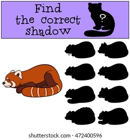Educational game: Find the correct shadow. Little cute red panda smiles.