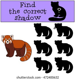 Educational game: Find the correct shadow. Little cute red panda stands and smiles.