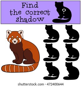 Educational game: Find the correct shadow. Little cute red panda sits and smiles.