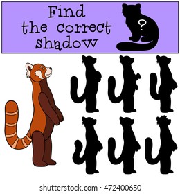 Educational game: Find the correct shadow. Little cute red panda stands and smiles.