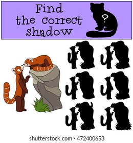 Educational game: Find the correct shadow. Two little cute red pandas look at each other and smile.