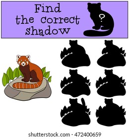 Educational game: Find the correct shadow. Little cute red panda sits on the stone and smiles.