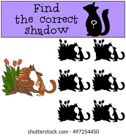 Educational game: Find the correct shadow. Two little cute numbats look at each other and smile.