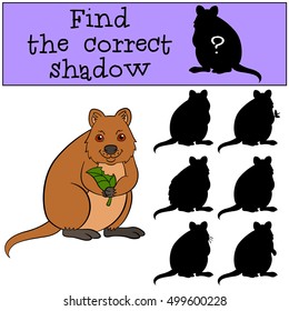 Educational game: Find the correct shadow. Little cute quokka holds the lear in the hands.