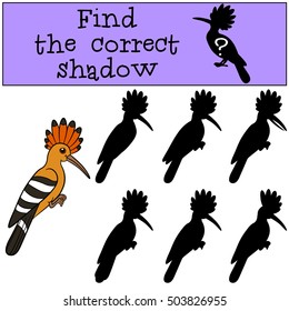 Educational game: Find the correct shadow. Cute beautiful hoopoe sits and smiles.