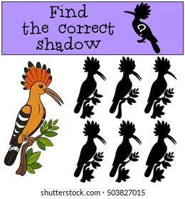 Educational game: Find the correct shadow. Cute beautiful hoopoe sits on the tree branch and smiles.