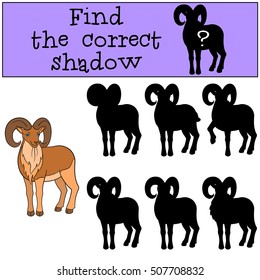 Educational game: Find the correct shadow. Cute beautiful urial stands and smiles.