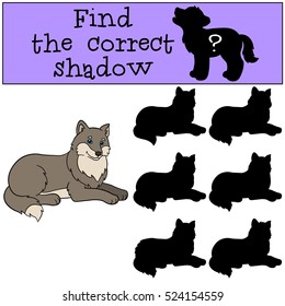 Educational game: Find the correct shadow. Cute beautiful wolf lies and smiles.