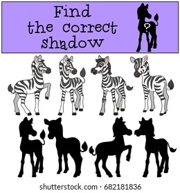 Educational game: Find the correct shadow. Little cute zebra smiles.