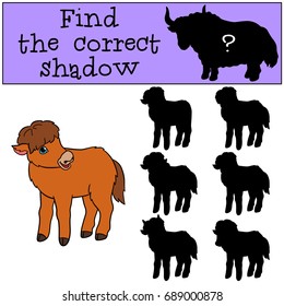 Educational game: Find the correct shadow. Little cute baby yak.