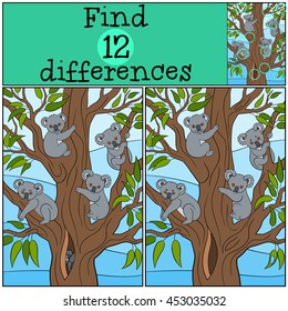 Educational game: Find differences. Four koala babies sit on the tree in the forest and smile.