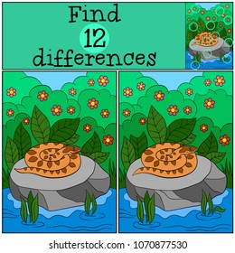 Educational game: Find differences. Little cute viper on the stone.