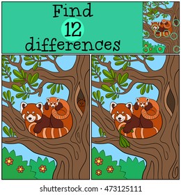 Educational game: Find differences. Mother red panda with her little cute baby on the tree branch.