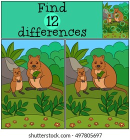 Educational game: Find differences. Mother quokka with her little cute baby.