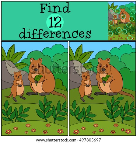 Educational Game Find Differences Mother Quokka Stock Vector