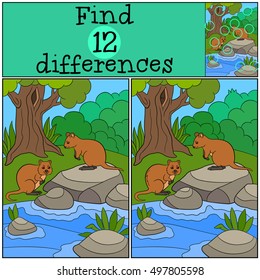 Educational game: Find differences. Two little cute quokkas in the forest.