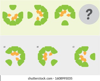 Educational game for kids and adults. development of logic iq. Task game what comes next? visual intelligence, mind games