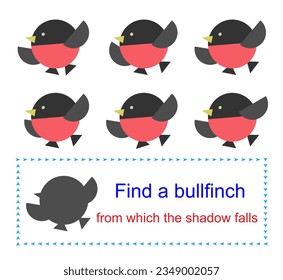 Educational game for kids. Task for attentiveness. Find a bullfinch from which the shadow falls. 