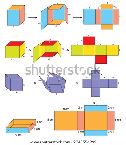 Educational geometry vector set showing 3D shapes, cube nets and folding diagrams. Perfect for math textbooks, classroom materials, STEM projects and instructional infographics.