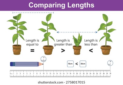 An educational illustration comparing the lengths or heights of three potted plants. it visually demonstrates concepts of equality, greater than, and less than using simple symbols and a ruler.