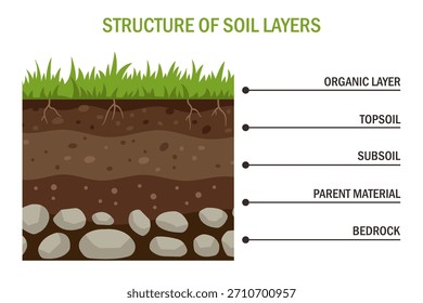 Bildhafte Darstellung der geschichteten Bodenstruktur, die Bodenabschnitte vom Oberboden bis zu tieferen Schichten zeigt. Ideal für Lehrbücher, Ökologiematerial, Schulprojekte, Umweltwissenschaften.