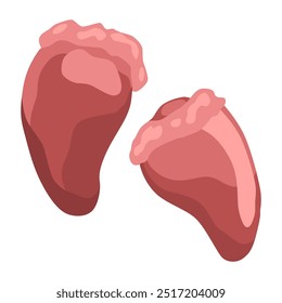 Ilustração educativa que mostra o corte e parte da carne crua de frango