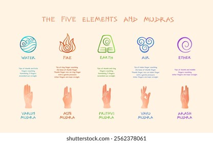 Educational illustration showing the 5 elements water, fire, earth, air, ether with corresponding mudra hand positions and detailed palm gestures. Clean vector design with color-coded symbols.