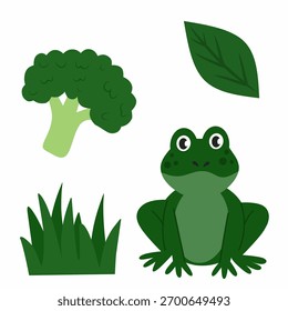 Ilustración educativa que muestra objetos verdes para que los niños aprendan colores. Incluye rana, brócoli, hierba y hoja. Perfecto para el aprendizaje en color preescolar, hojas de trabajo imprimibles y actividades en el aula.