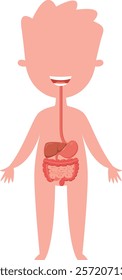 Educational illustration of a smiling child displaying digestive system organs. Including stomach. Intestines. Liver. And esophagus. Promoting awareness of human anatomy and digestive health for kids